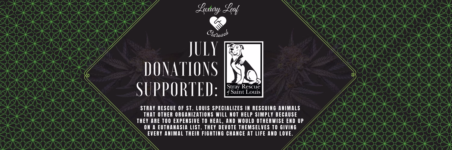 Graphic announcement for Luxury Leaf Outreach supporting Stray Rescue of St. Louis with a description of their mission to rescue animals